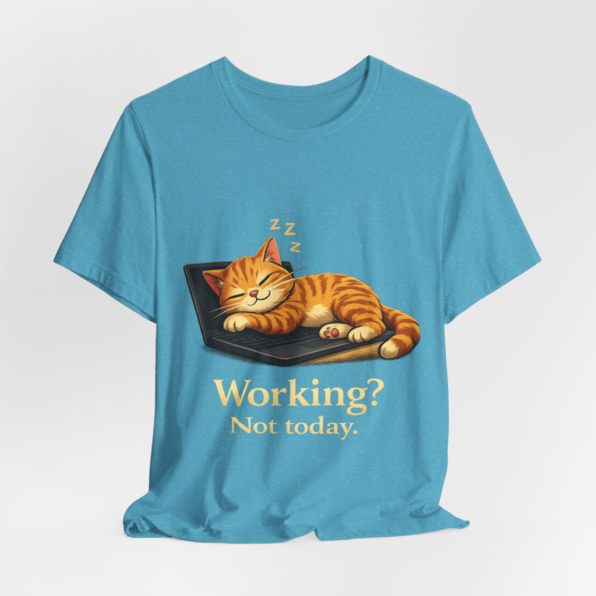 Cat Nap Tee
