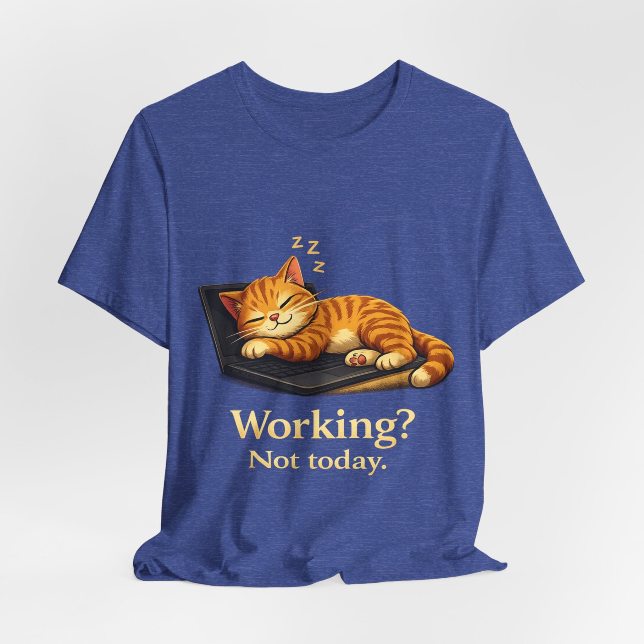 Cat Nap Tee